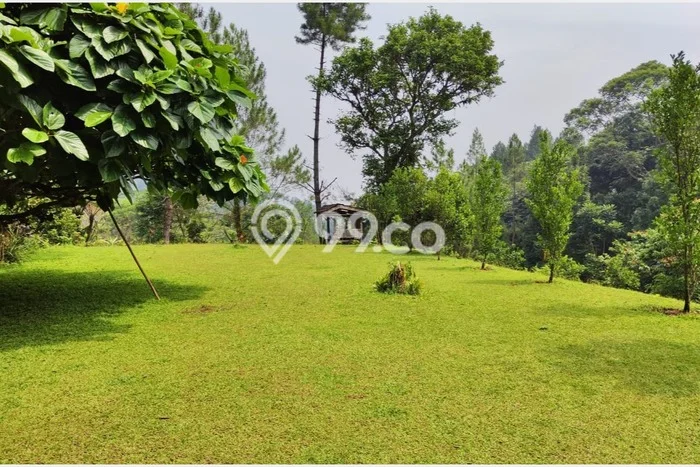 Tanah untuk Dijual Lokasi Tapos, Depok Luas 7000m2 SHM Tanah untuk Dijual Lokasi Tapos, Depok Luas 7000m2 SHM