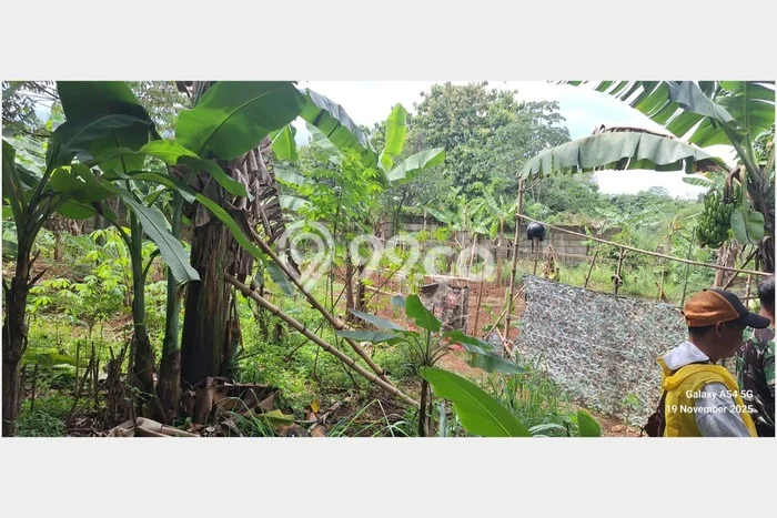 Tanah Kavling di Babakan Madang Dijual dengan Luas 1030m2 Tanah Kavling di Babakan Madang Dijual dengan Luas 1030m2