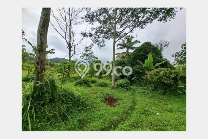 Kavling Tanah di Cijeruk Dijual Luas 1032m2 Legalitas SHM Kavling Tanah di Cijeruk Dijual Luas 1032m2 Legalitas SHM