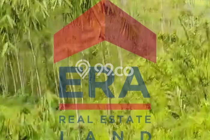 Tanah untuk Dijual di Pujon Malang Luas 13000m2 Tanah untuk Dijual di Pujon Malang Luas 13000m2