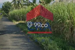 Tanah untuk Dijual Lokasi Wagir, Malang Luas 700m2 SHM Tanah untuk Dijual Lokasi Wagir, Malang Luas 700m2 SHM
