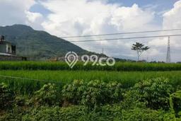 Dijual Tanah di Jatinangor Sumedang Luas 5076m2 SHM Dijual Tanah di Jatinangor Sumedang Luas 5076m2 SHM