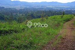 Kavling Tanah Dijual di Ciwidey, Bandung, Luas 21000m2 Area Strategis Kavling Tanah Dijual di Ciwidey, Bandung, Luas 21000m2 Area Strategis