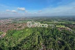 Lahan Investasi Lokasi Gianyar Gianyar SHM Lahan Investasi Lokasi Gianyar Gianyar SHM