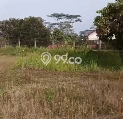Tanah Dijual di Purwakarta Seluas 8300m2 Strategis Tanah Dijual di Purwakarta Seluas 8300m2 Strategis