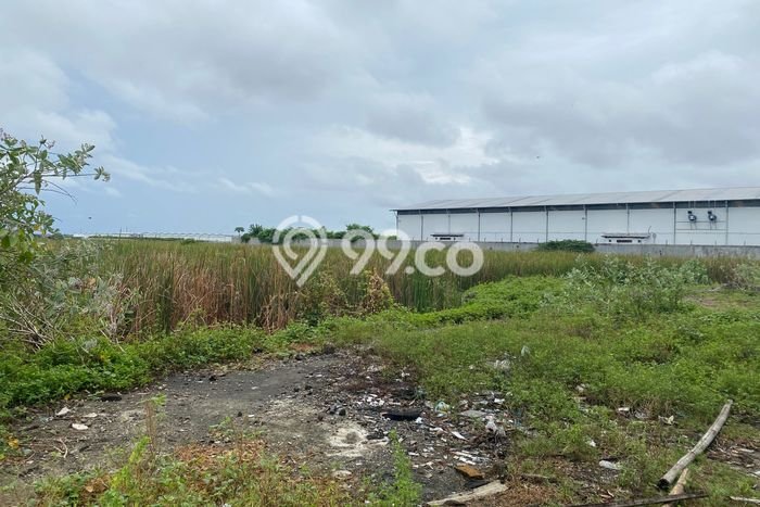 Tanah Kawasan Komersial di Dadap, Luas 5000m², Cocok untuk Investasi Tanah Kawasan Komersial di Dadap, Luas 5000m², Cocok untuk Investasi