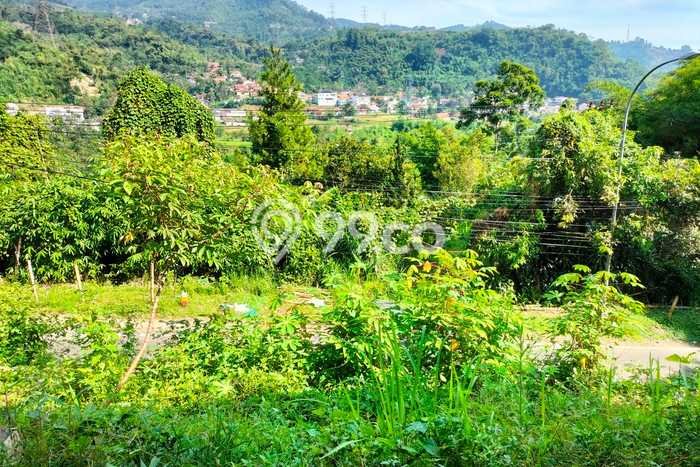 Tanah Strategis Dijual di Ciwidey Bandung 1801m2 Tanah Strategis Dijual di Ciwidey Bandung 1801m2