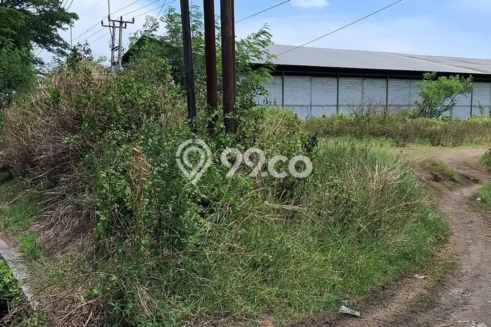Tanah untuk Dijual di Losari Cirebon Luas 44286m2 Tanah untuk Dijual di Losari Cirebon Luas 44286m2