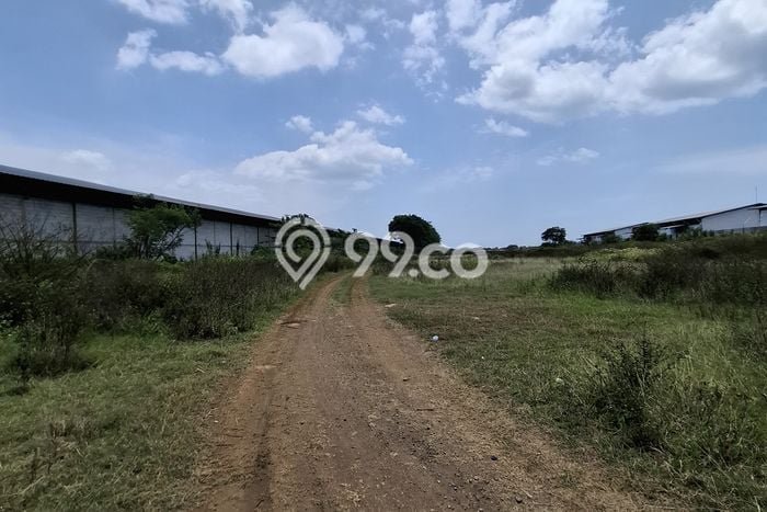 Tanah untuk Dijual di Losari Cirebon Luas 44286m2 Tanah untuk Dijual di Losari Cirebon Luas 44286m2