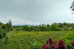 Jarang Ada! Tanah di Bogor Selatan Punya Luas 75057m2 SHM Jarang Ada! Tanah di Bogor Selatan Punya Luas 75057m2 SHM