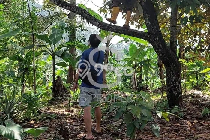 Tanah Dijual Lokasi Cipatat Bandung Barat SHM Tanah Dijual Lokasi Cipatat Bandung Barat SHM