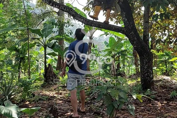Tanah Dijual Lokasi Cipatat Bandung Barat SHM Tanah Dijual Lokasi Cipatat Bandung Barat SHM