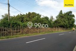 Dijual Tanah di Tanjungbumi Bangkalan Luas 7965m2 SHM Dijual Tanah di Tanjungbumi Bangkalan Luas 7965m2 SHM