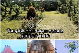 Tanah Dijual Lokasi Dramaga, Bogor Luas 1254m2 Legalitas Aman Tanah Dijual Lokasi Dramaga, Bogor Luas 1254m2 Legalitas Aman