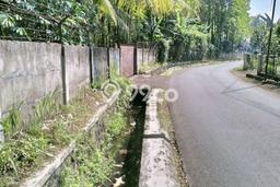 Tanah di Ciampea, Bogor Luas 54000m2 Dijual Segera Tanah di Ciampea, Bogor Luas 54000m2 Dijual Segera