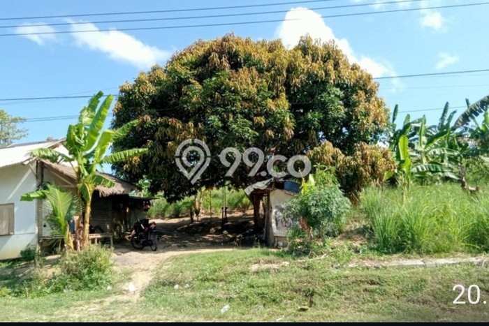 Tanah Dijual di Pandeglang Seluas 32900m2 Strategis Tanah Dijual di Pandeglang Seluas 32900m2 Strategis