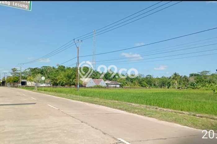 Tanah Dijual di Pandeglang Seluas 32900m2 Strategis Tanah Dijual di Pandeglang Seluas 32900m2 Strategis