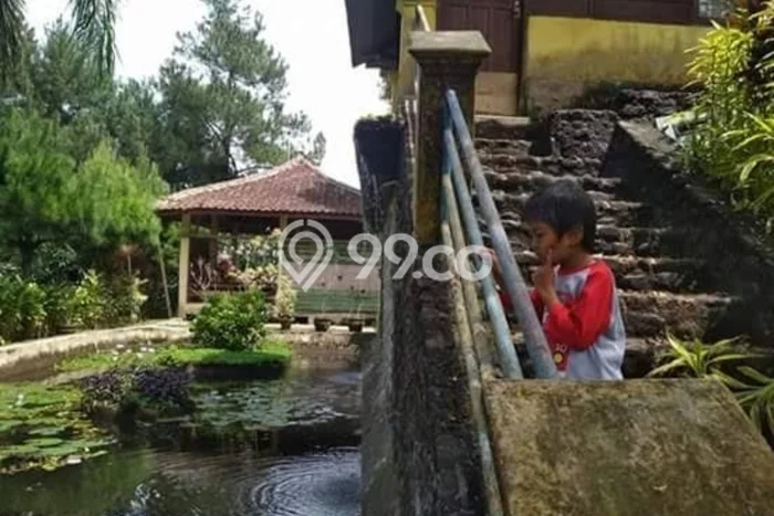 Kesempatan Bisnis! Vila Kawasan Ciampea, Dimensi 9403m2m², Lokasi Strategis dengan potensi meningkat Kesempatan Bisnis! Vila Kawasan Ciampea, Dimensi 9403m2m², Lokasi Strategis dengan potensi meningkat