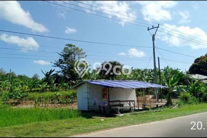 Tanah Dijual di Pandeglang Seluas 32900m2 Strategis Tanah Dijual di Pandeglang Seluas 32900m2 Strategis