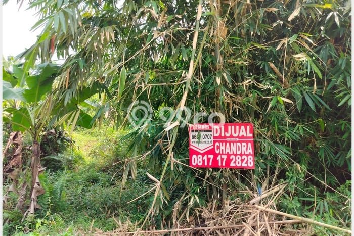 Lahan Kosong Dijual di Leuwisadeng, Bogor, Luas 10520m2 Area Strategis Lahan Kosong Dijual di Leuwisadeng, Bogor, Luas 10520m2 Area Strategis
