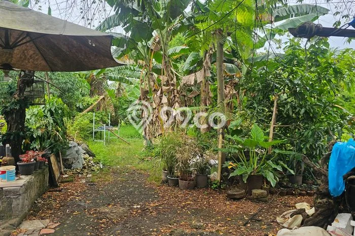 Tanah Dijual Area Strategis di Kedoya Jakarta Barat 4901m2 Tanah Dijual Area Strategis di Kedoya Jakarta Barat 4901m2