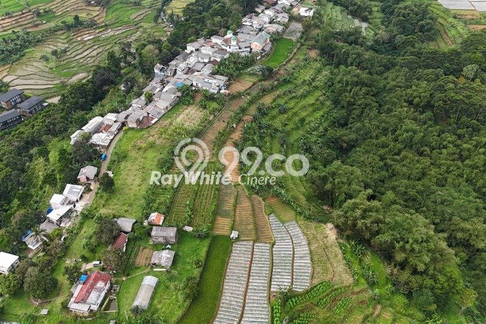 Tanah Dijual Area Strategis di Gadog Bogor 10060m2 Tanah Dijual Area Strategis di Gadog Bogor 10060m2