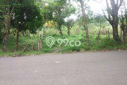 Tanah Dijual Lokasi Strategis di Sukabumi dengan Luas 5000m2 Tanah Dijual Lokasi Strategis di Sukabumi dengan Luas 5000m2