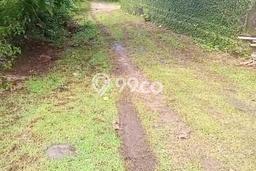 Tanah Dijual Lokasi Strategis di Badung dengan Luas 9600m2 Tanah Dijual Lokasi Strategis di Badung dengan Luas 9600m2