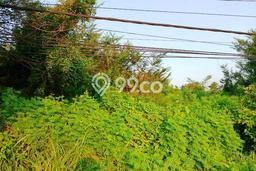 Tanah Dijual Lokasi Madiun, Madiun Luas 8166m2 Legalitas Aman Tanah Dijual Lokasi Madiun, Madiun Luas 8166m2 Legalitas Aman