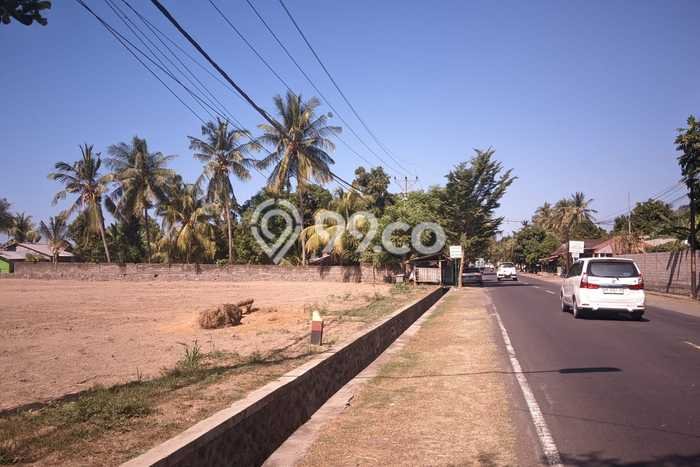 Tanah Dijual Lokasi Kubutambahan Buleleng SHM Tanah Dijual Lokasi Kubutambahan Buleleng SHM