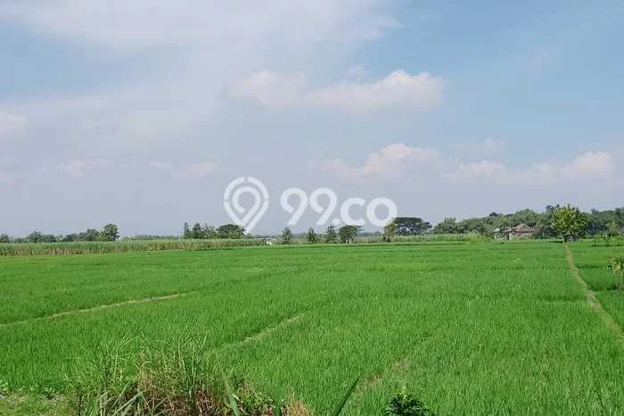 Jarang Ada! Tanah di Wonoasri Punya Luas 17356m2 SHM Jarang Ada! Tanah di Wonoasri Punya Luas 17356m2 SHM