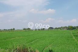 Jarang Ada! Tanah di Wonoasri Punya Luas 17356m2 SHM Jarang Ada! Tanah di Wonoasri Punya Luas 17356m2 SHM
