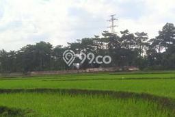 Tanah Kavling Dijual di Bandung dengan Spesifikasi 14157m2 Tanah Kavling Dijual di Bandung dengan Spesifikasi 14157m2