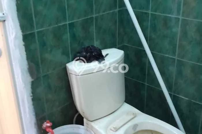 Lokasi Strategis! Dijual Ruko Bisnis di Sukajadi, Bandung Kondisi Bagus Lokasi Strategis! Dijual Ruko Bisnis di Sukajadi, Bandung Kondisi Bagus