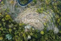 Tanah Dijual di Buleleng Seluas 10000m2 Strategis Tanah Dijual di Buleleng Seluas 10000m2 Strategis