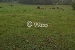 Lahan Dijual Lokasi Strategis di Badung dengan Luas 9600m2 Lahan Dijual Lokasi Strategis di Badung dengan Luas 9600m2