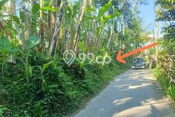 Tanah Kawasan Tegallalang, Luas 3557m2m², Dekat Jalan Raya Tanah Kawasan Tegallalang, Luas 3557m2m², Dekat Jalan Raya
