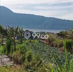 Tanah Dijual Area Strategis di Bedugul Tabanan 1300m2 Tanah Dijual Area Strategis di Bedugul Tabanan 1300m2