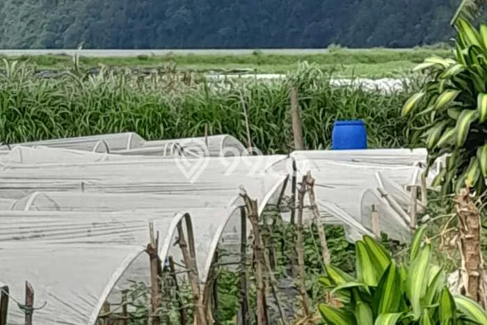 Untuk Dijual Tanah di Buleleng, Luas 500m2 SHM Untuk Dijual Tanah di Buleleng, Luas 500m2 SHM
