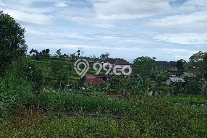 Tanah Dijual Area Strategis di Bedugul Tabanan 1600m2 Tanah Dijual Area Strategis di Bedugul Tabanan 1600m2