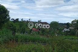 Tanah Dijual Area Strategis di Bedugul Tabanan 1600m2 Tanah Dijual Area Strategis di Bedugul Tabanan 1600m2