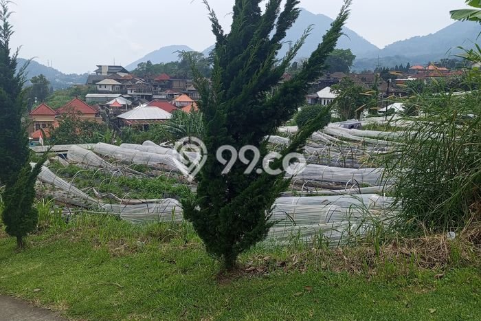 Lahan Dijual Lokasi Strategis di Tabanan dengan Luas 1000m2 Lahan Dijual Lokasi Strategis di Tabanan dengan Luas 1000m2