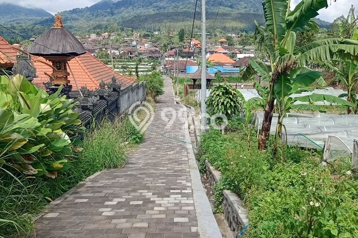 Tanah di Bedugul, Luas 890m², Area Komersial Tanah di Bedugul, Luas 890m², Area Komersial