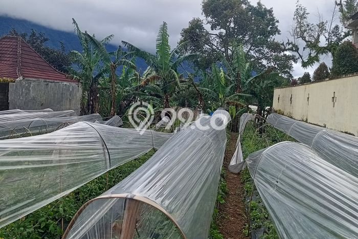 Dijual Tanah Lokasi Bedugul, Tabanan Seluas 500m2 Dijual Tanah Lokasi Bedugul, Tabanan Seluas 500m2