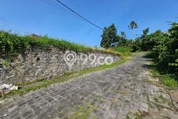 Tanah Dijual Area Strategis di Pererenan Badung 2130m2 Tanah Dijual Area Strategis di Pererenan Badung 2130m2