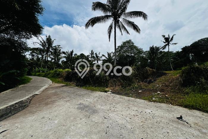 Dijual Tanah di Payangan Gianyar Luas 1000m2 SHM Dijual Tanah di Payangan Gianyar Luas 1000m2 SHM