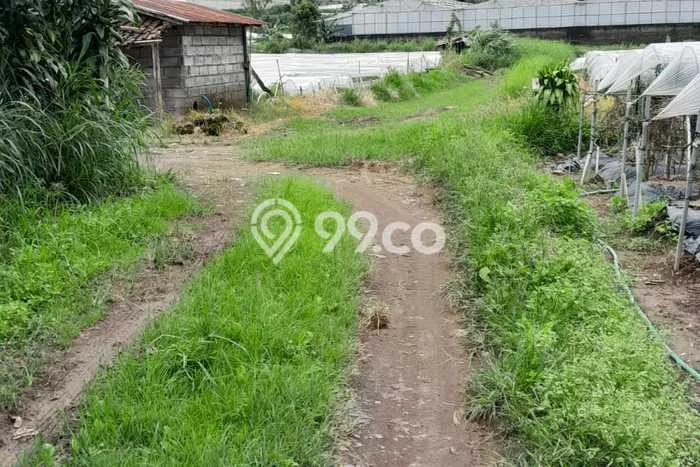 Untuk Dijual Tanah di Buleleng, Luas 500m2 SHM Untuk Dijual Tanah di Buleleng, Luas 500m2 SHM