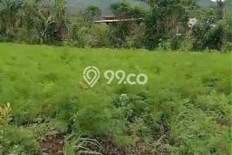 Jarang Ada! Tanah di Baturiti Punya Luas 5070m2 SHM Jarang Ada! Tanah di Baturiti Punya Luas 5070m2 SHM
