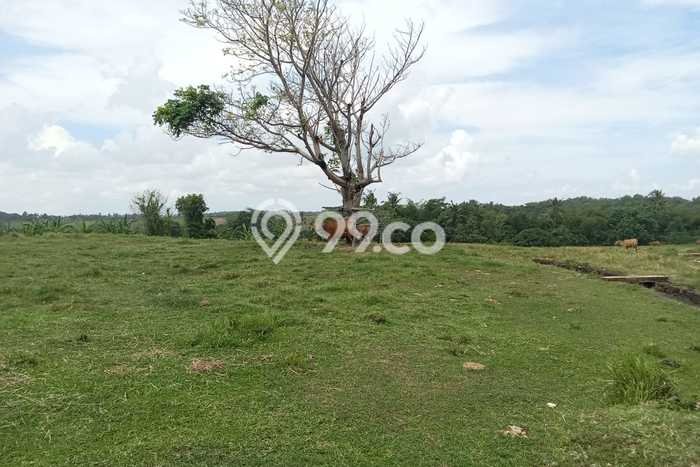 Tanah Kavling Dijual di Tabanan dengan Spesifikasi 27200m2 Tanah Kavling Dijual di Tabanan dengan Spesifikasi 27200m2