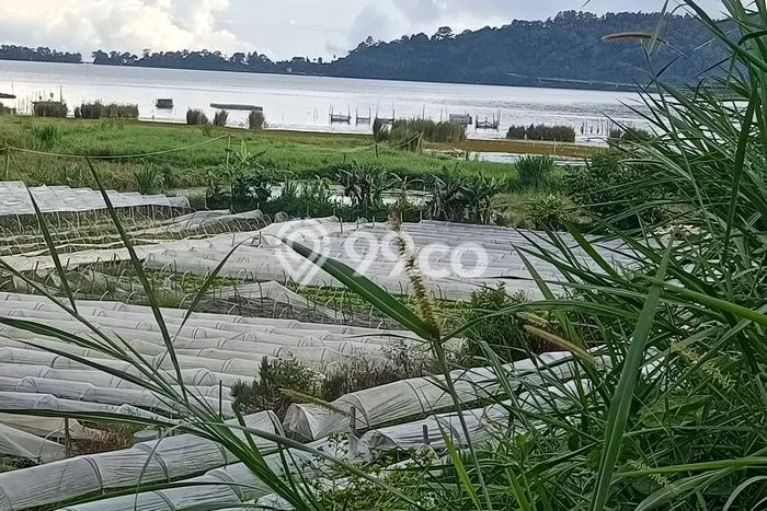 Untuk Dijual Tanah di Tabanan, Luas 2000m2 SHM Untuk Dijual Tanah di Tabanan, Luas 2000m2 SHM